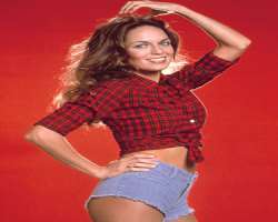 Cut-off denim shorts are named after her character Daisy Duke on the television series <b>The Dukes of Hazzard</b>. The shorts are also called Daisy D